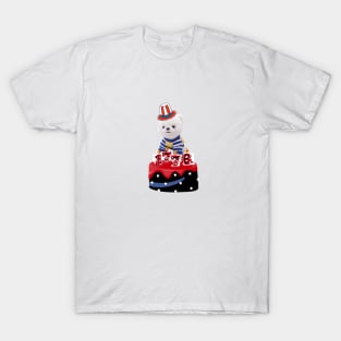 4th of july swag T-Shirt